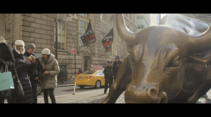 new york bull